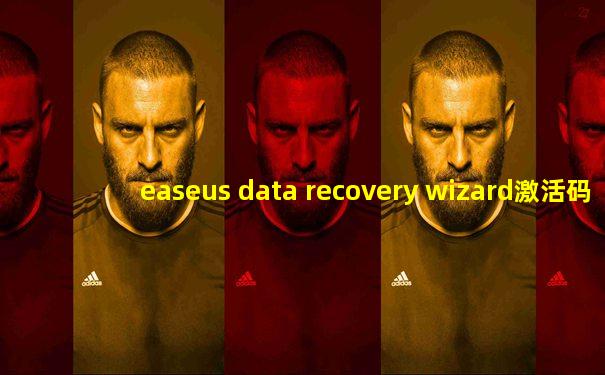 easeus data recovery wizard激活码